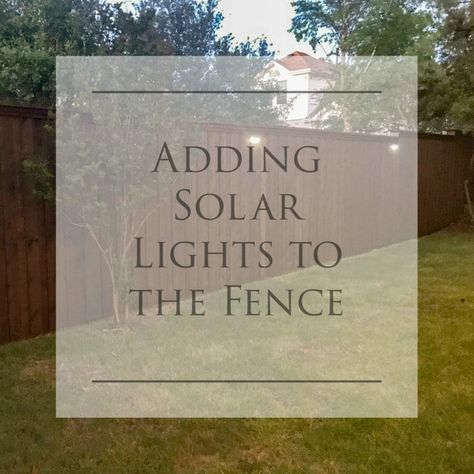 Solar Lights Fence Ideas, Wood Fence Lighting Ideas, Solar Fence Lights Outdoor, Solar Lights On Fence, Fence Lighting Ideas Backyards, Solar Lights Fence, Solar Lights For Fence, Fence Lighting Ideas, Bruce Munro