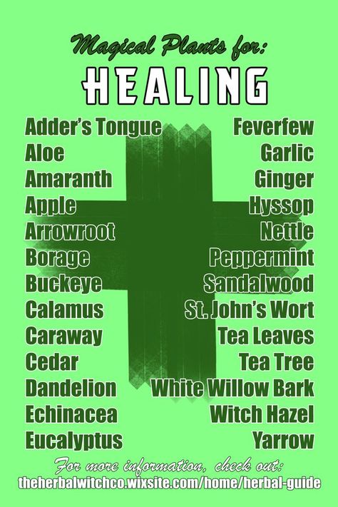 African Herbs For Health, Plants For Healing, Herb Correspondences, Plants And Their Uses, Spell Crafting, Spell Components, Herb Collection, Magickal Correspondences, Cleansing Herbs