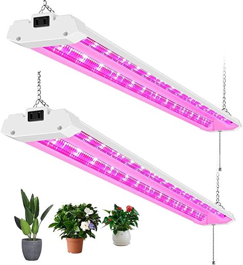 Amazon.com: AntLux 4ft LED Grow Lights 50W Full Spectrum Integrated Growing Lamp Fixtures for Greenhouse Hydroponic Indoor Plant Seedling Veg and Flower, Plug in, ON/Off Pull Chain Included, 2 Pack: Home Improvement Fluorescent Tube Light, Grow Lamps, Greenhouse Plants, Plant Seedlings, Home Garden Plants, Fluorescent Tube, Tube Light, Led Grow, Traditional Lighting