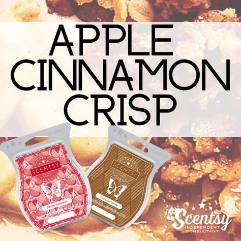 Scentsy Mixology 2023 Fall, Scentsy Mixers 2023, Scentsy Mixology 2023, Diy Scentsy, Scentsy Bundles, Cinnamon Crisp, Scentsy Mixers, Scentsy Posts, Scentsy Mixology