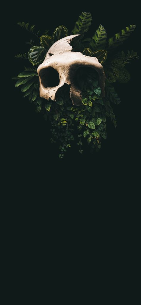 Oddity Wallpaper, Dark Hippy Wallpapers Aesthetic, Deer Skull Wallpaper, Dark Wallpaper Phone Skeleton, Wallpaper Backgrounds Dark Skeleton, Skull Wallpaper Green, Plants And Skulls Aesthetic, Shape Aesthetic, Dark Hippie