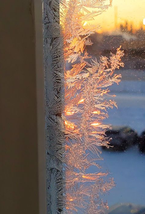 Ice On Window, Frosty Morning Aesthetic, Snowday Aesthetic, Frosted Aesthetic, Winter Morning Aesthetic, Frost Aesthetic, Frozen Window, Frosty Window, Frost Pattern