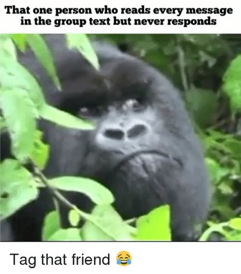 that person who reads every message in the group text but never responds meme Group Text Humor, Freaking Out Meme, Left Out Of The Group, Text Message Meme, Group Text, Anne Maria, Meme Show, Feeling Left Out, Too Real