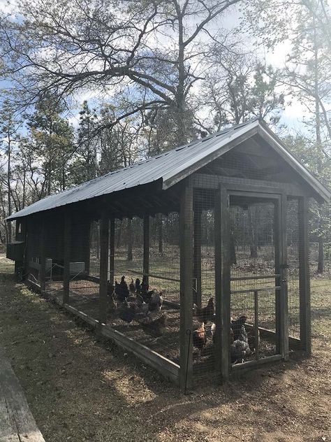 Chicken House Plans, Farmhouse Chicken Coop, Reban Ayam, Fancy Farmhouse, Chicken Enclosure, Chicken Shed, Portable Chicken Coop, Backyard Chicken Coop Plans, Poultry House