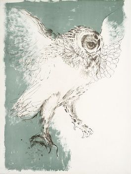 Frink: Owl | Custom prints | Tate Shop | Tate Elisabeth Frink, Lithography Prints, British Art, Owl Art, Lithography, Bird Art, Art Forms, Animal Art, Framed Art Prints