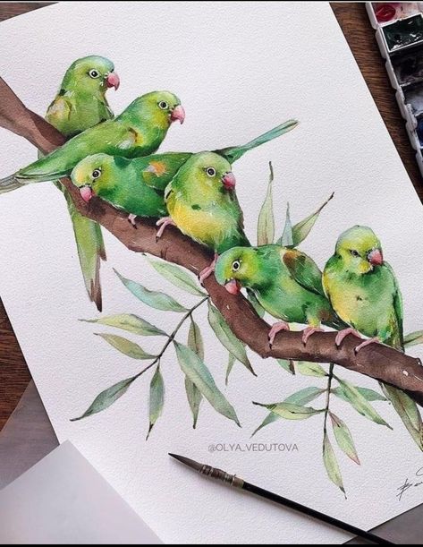 Drawing Of New York, Aquarelle Drawing, Bird Painting Acrylic, Parrot Painting, Watch Making, Watercolor Paintings Nature, Bird Watercolor Paintings, Floral Drawing, Watercolor Flower Art