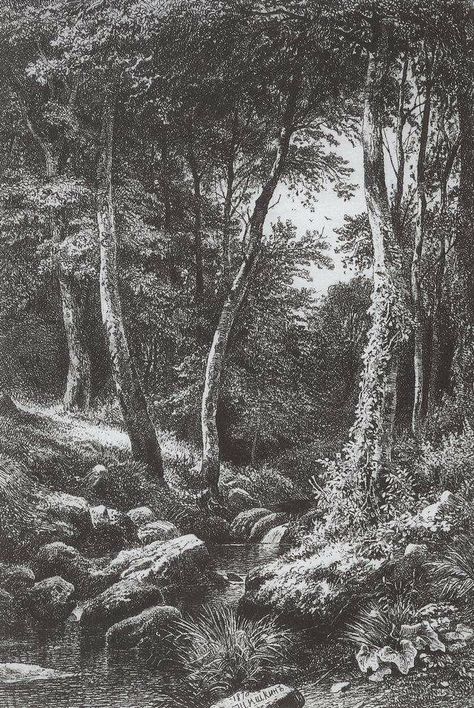 1870 Ivan Shishkin, Jungle Drawing, Russian Landscape, Landscape Pencil Drawings, Forest Drawing, Painting Forest, Nature Sketch, Tree Sketches, Landscape Sketch