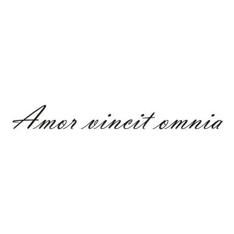 Love conquers all Amor Vincit Omnia Tattoo Fonts, Latin Quote Tattoos For Women, Italian Quote Tattoos, Music Girl, Foot Tattoos For Women, Love Conquers All, Wrist Tattoos For Women, Latin Words, Gossip News