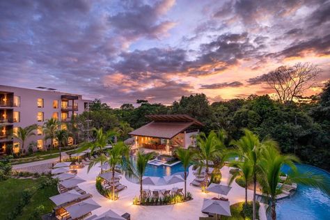 A Rainforest Escape at Botánika Osa Peninsula in Costa Rica Best Hotels In Amsterdam, Osa Peninsula Costa Rica, Costa Rica Adventures, Corcovado National Park, Best Travel Credit Cards, Travel Credit Cards, Costa Rican, Conde Nast Traveler, Conde Nast