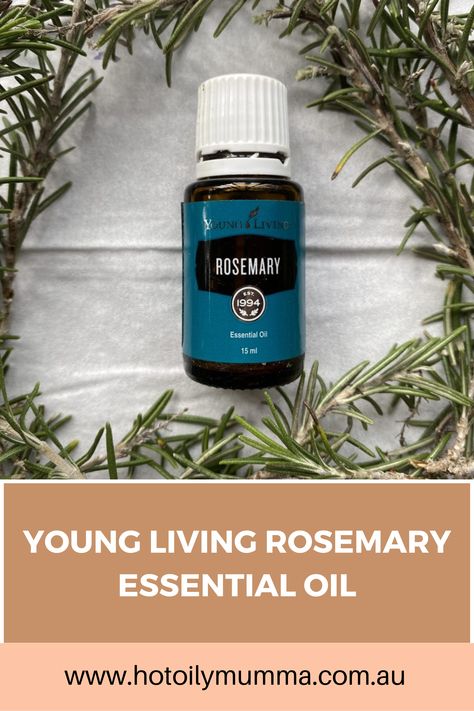 I remember the first time I smelt Young Living Rosemary essential oil. I thought they had accidentally put the wrong label on it. I was sure it was Eucalyptus and not Rosemary in the bottle. Why? It’s to do with one important chemical constituent in the essential oil. #rosemaryessentialoil #essentialoilblends #youngliving #essentialoils #cleaning #odors #citronella #cleanse #diy #diycleaning #natural #toxicfree Young Living Rosemary, Diy Perfume Recipes, Black Pepper Essential Oil, Flavored Olive Oil, Diy Body Butter, Rosemary Essential Oil, Perfume Recipes, Young Living Essential Oils Recipes, Essential Oils Guide