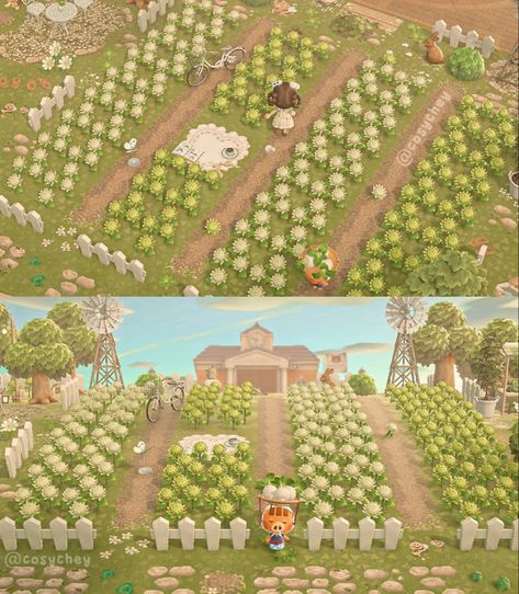 Cottagecore Animal Crossing, Cute Garden Ideas, Farm Town, Forest Designs, Acnh Cottagecore, Animal Crossing 3ds, Forest Core, Heart Blanket, Daisy Field