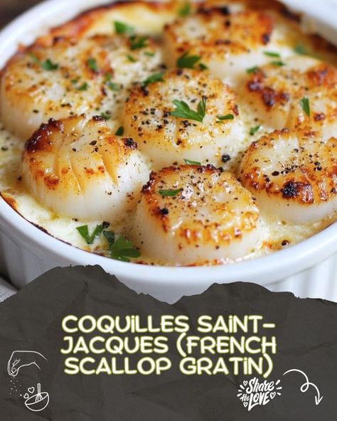 Yummy Food | Coquilles Saint-Jacques (French Scallop Gratin) | Facebook French Scallop Recipes, Coquilles St Jacques Recipe, Scallops Au Gratin, Scallop Gratin, Luscious Recipes, Scallops Recipe, Scallop Dishes, Coquille Saint Jacques, Scallop Recipes