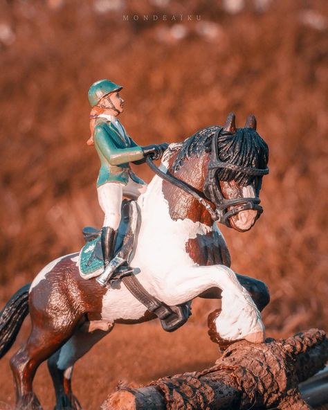 Schliche Horses, Schleich Horse Display, Schleich Crafts, Schleich Pictures, Schleich Horse Custom, Toy Horses Schleich, Schleich Photography, Schleich Diy, Schleich Realistic Photos