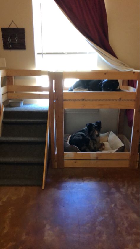 Dog Bunk Beds Diy Pallet, Under Stairs Dog Bed Ideas, Dog Crate Bunk Beds, Large Dog Bunk Beds Diy, Diy Dog Loft Bed, Bunk Beds For Dogs, Dog Loft Bed, Bunk Bed For Dogs, Diy Dog Bunk Bed