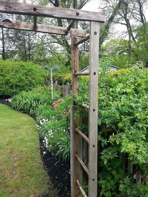 Re-purposed Ladder Becomes Trellis Ladder Garden, Ladder Trellis, Old Wooden Ladders, Arbors Trellis, Garden Vines, Garden Arbor, Garden Arches, Wooden Ladder, Have Inspiration