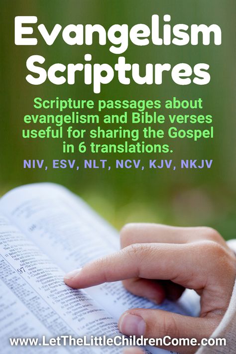 A collection of Scripture passages about evangelism as well as Bible verses that are useful for sharing the Gospel in 6 different Bible Versions - NIV, ESV, NLT, NCV KJV, and NKJV. Evangelism Verses, Verses About Sharing The Gospel, Evangelism Quotes, Scripture Passages, God’s Presence Scripture, Psalms 121:1-2 Kjv, Sharing The Gospel, Acts 16:31 Kjv, Prayer Bible