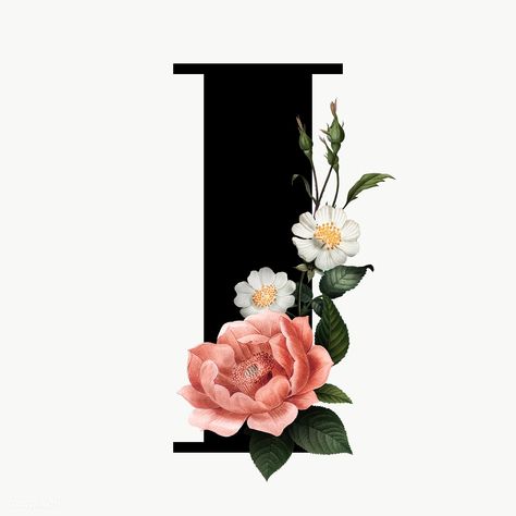 I Letter Design Flower, Floral Png Free, I Images Letter, I Fonts Letter, I Alphabet Design, I Letter Wallpaper, I Logo Design Letter, I Letter Images, I Font