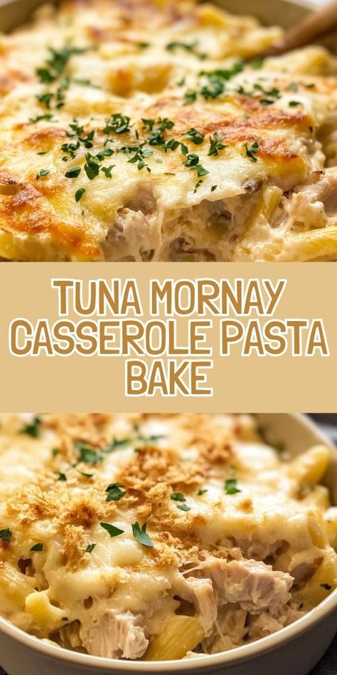 🧀 Craving comfort food? Try this Tuna Mornay Casserole Pasta Bake, a creamy, cheesy dish that’s perfect for family dinners or meal prep! Loaded with tender pasta, flavorful tuna, and a golden-brown cheesy topping, this recipe is an easy crowd-pleaser. Tap to get the full recipe and make dinner a breeze tonight! #TunaMornay #CasseroleRecipes #ComfortFood #PastaBake #FamilyDinner #EasyWeeknightMeals 🍝 Tuna Casserole For One, Cheesy Tuna Pasta Bake, High Protein Tuna Casserole, Tuna Tettrazini, Pasta With Tuna Recipe, Tuna Mornay Pasta Bake, Tuna Tetrazzini, Tuna Macaroni Casserole, Tuna Pasta Casserole