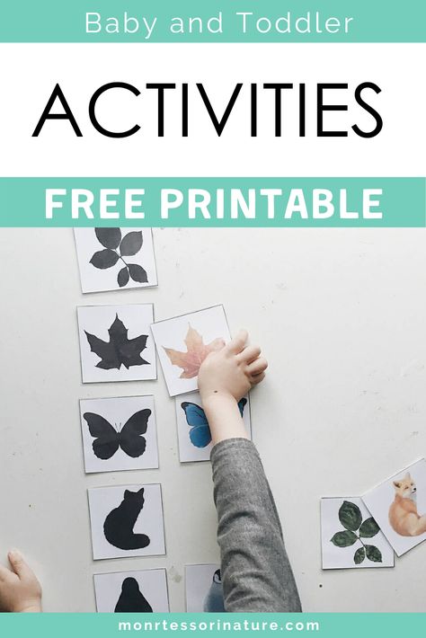 Free Printable Montessori Activities, Montessori Activities Printables, Printable Montessori Activities, Montessori Printables Free, Forest Preschool, Nature Printables, Montessori Activities Preschool, Free Educational Printables, Montessori Printables