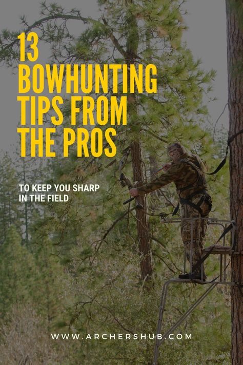 Many professional archers are also bowhunters. In this article, we reached out to 13 professional archers to get their top bowhunting tips to help you in the field. // bow hunting for beginners // bow hunting tips // bow hunting // bowhunting tips // bowhunting // bowhunting gear // #bowhuntingtips #bowhunting #archerytips #archeryideas #archery Broadheads Bowhunting, Bow Hunting For Beginners, Bowhunting Gear, Bow Hunting Tips, Bow Hunting Gear, Archery Tips, Hunting Stuff, Traditional Bow, Bowhunting