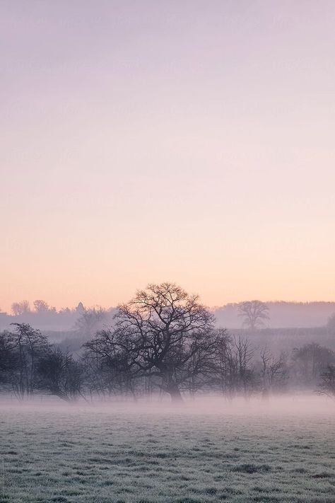 Misty Nature, Watercolor Reference, Autumn Whispers, Backgrounds Ideas, Morning Photography, Photography Tricks, Frosty Morning, Winter Sunrise, Engagement Locations