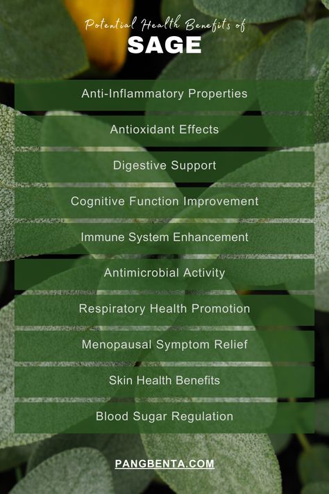 Potential Health Benefits Of Sage Sage Health Benefits, Benefits Of Sage, Sage Benefits, Chinese Massage, Reducing Inflammation, Lower Your Cholesterol, Digestive Issues, Respiratory Health, Power Of Nature