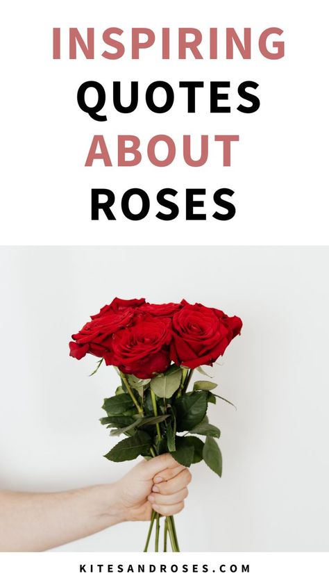 Looking for rose quotes? Here are the words and sayings about thorns, love, and life that you can share on world roses day. Poems With Roses, Beauty And The Beast Rose Quote, A Rose For You, Quote Rose Flowers, Quotes For Roses Flower, Rose Sayings Quotes, Rose Quotes Flowers, Quote About Roses Flowers, Quotes About Roses And Love