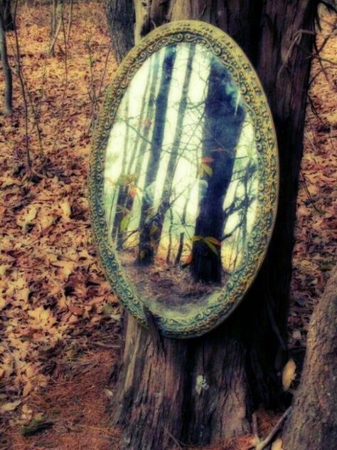 MAKE BELIEVE / enchanted Emil Cioran, Arte Alien, Magic Mirror, Mirror Mirror On The Wall, Mirror On The Wall, Through The Looking Glass, Fairy Land, Pics Art, Enchanted Forest