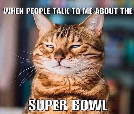 Super Bowl Super Bowl Memes, Super Bowl Quotes, Superbowl Humor, Cat Quotes, People Talk, Cat Mom, Cat Gifts, Talk To Me, Cat Memes