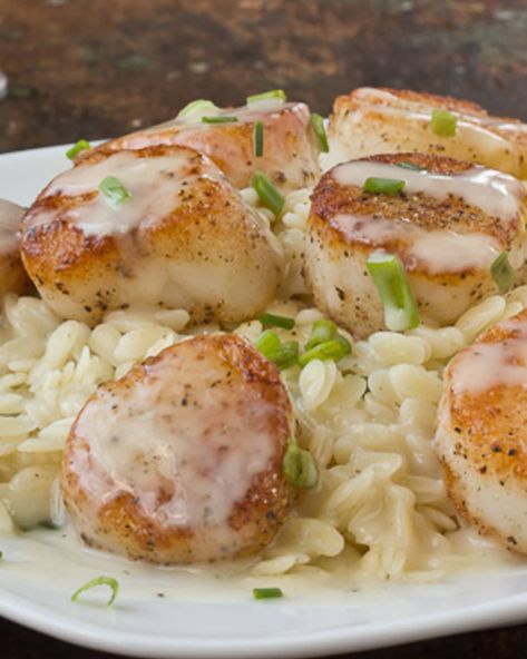 Scallop Orzo Recipes, Scallops And Orzo, Scallops With Orzo, Scallops And Orzo Recipe, Scallop Orzo, Orzo With Scallops, Scallops Orzo, Scallops With Mushroom Risotto, White Wine Scallops Pasta