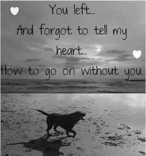 Dog Heaven Quotes, Lou Dog, Miss My Dog, Dog Poems, Dog Memorial Tattoos, Dog Quotes Love, Dog Heaven, Pet Remembrance, Losing A Dog