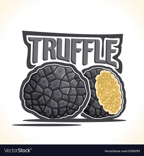 Black truffle Royalty Free Vector Image - VectorStock Mushroom Cartoon, Edible Fungi, Truffle Mushroom, Truffle Hunting, Black Truffle, Logo Vintage, Banner Printing, Logo Black, Caricatures