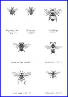 Different types of bees chart Yellowjacket Wasp Tattoo, Yellow Jacket Drawing, Carpenter Bee Tattoo, Yellow Jacket Tattoo, Wasp Tattoo, Different Types Of Bees, Insect Study, Insect Life Cycle, Types Of Bees