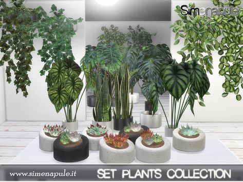 The Sims Resource - Plants Collection Sims4 Cc Garden, The Sims 4 Garden, Sims 4 Cc Garden, Sims 4 Garden Cc, Sims 4 Plants Cc, Sims Layout, The Sims 3 Cc, Background Furniture, Sims 3 Cc