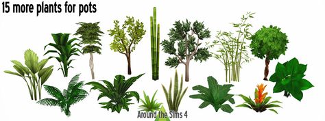 Around The Sims 4, The Sims 4 Custom Content, Pots Plants, Outside Plants, Sims 4 Cc Kids Clothing, Play Sims 4, Plants Pots, Sims 4 Mm Cc, Play Sims