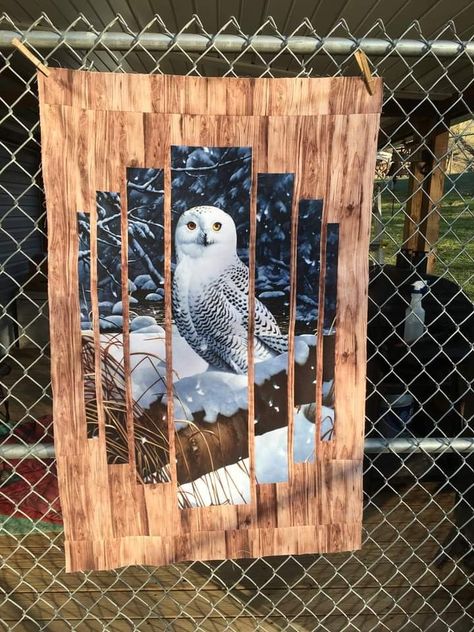 Attic Window Quilts, Wildlife Quilts, Owl Quilt, Fabric Panel Quilts, Panel Quilt Patterns, Sea Quilt, Geometric Quilt, Horse Pattern, Winter Quilts