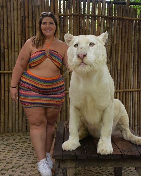 A woman smiling while standing next to a large white tiger. She is wearing a colorful, patterned dress and white sneakers. The tiger sits calmly on a wooden platform in front of a bamboo enclosure, creating a serene and exotic scene. Festival Outfits Rave, Outfits Rave, Lifestyle Ideas, Majestic Animals, Got To Be, A Tiger, Chiang Mai, Live Long, Big Cats