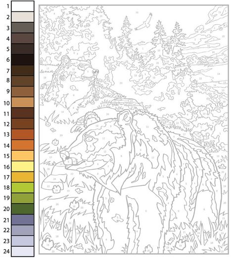 Draw a Bear- Paint by Numbers - Paintology Animal Color By Number Free Printable, Paint By Number Procreate, Advanced Color By Number, Paint By Number Template, Colour By Numbers For Adults, Color By Number Printable Free Difficult, Paint By Number Printable Templates, Paint By Numbers Printable, Trace Drawing