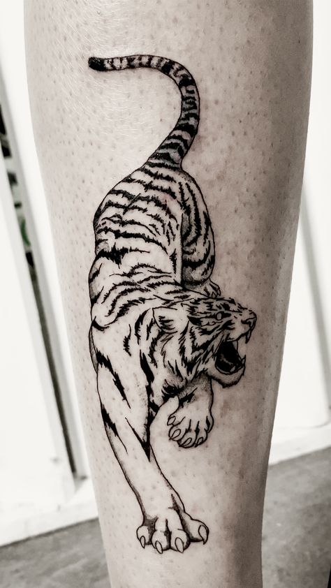 Black Fineline tiger tattoo on shin. Tiger Line Tattoo, Shin Tattoo, Tiger Tattoo Design, Small Arm Tattoos, Old Tattoos, Line Tattoo, Back Tattoo Women, Tattoo Art Drawings, Line Work