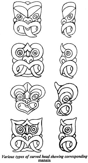 Various types of carved head showing corresponding manaia Maori Carving, Te Reo Maori Resources, Maori Tribe, Hei Tiki, Maori Symbols, Tiki Head, Maori Patterns, Polynesian Art, Maori Tattoo Designs