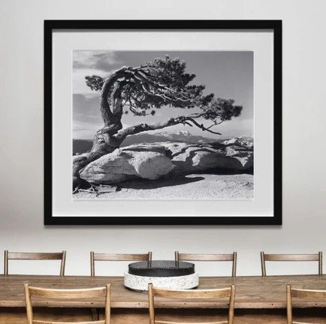 A large-format black-and-white photograph—like an Ansel Adams oversized print, for example—is a great way to make a statement without overwhelming a space. Such prints have an impressive presence in a room—they immediately command attention. Tastefully matted and framed, a large-dimension black-and-white photograph can even anchor an entire wall. Ansel Adams Prints, Yosemite Art, Yosemite Photography, Photography Tips And Tricks, Black And White Landscape, Photography Guide, Famous Photographers, Fields Photography, Ansel Adams