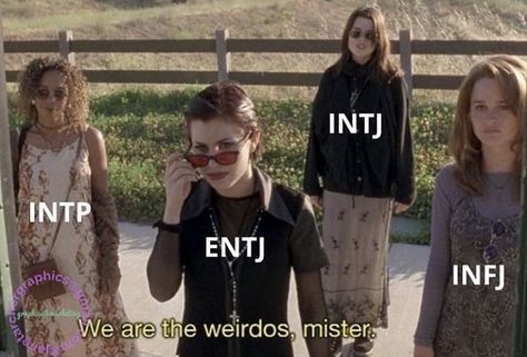 Infj X Intp Relationships, Entj And Intp Relationship, Intp Infj Relationship, Intj Intp Relationships, Entj X Intp Relationship, Entj And Intj, Entj X Infj, Intp X Infj, Infj Entj