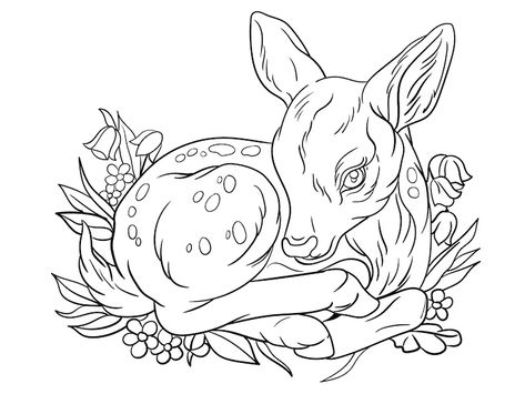 Baby Deer Tattoo, Fawn Tattoo, Deer Outline, Deer Coloring Pages, Sleeping Drawing, Deer Signs, Sleeping Animals, Deer Tattoo, Deer Pictures