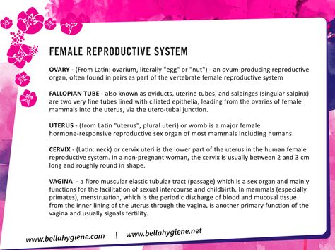 Female reproductive system and its functions.. Separating Mixtures, Basic Anatomy, Basic Anatomy And Physiology, Nursing Mnemonics, Female Reproductive System, Fallopian Tubes, Structure And Function, Nursing Notes, Reproductive System