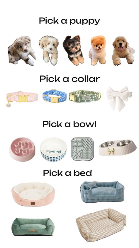 Cute Stuff For Dogs, Spoiled Puppy, Puppy Items, Puppy Checklist, Making A Gift Basket, New Puppy Checklist, Puppy Mom, Cute Luggage, Dog Box