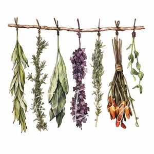 Hanging Herbs Drawing, Painting Bread, Herb Tattoo, Herb Bouquet, Herb Art, Cooking Herbs, Hanging Herbs, Dried Herbs, Bread Box