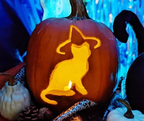 Pumpkin Carving Inspo Easy Cute, Cat Themed Pumpkin Carving, Easy Animal Pumpkin Carving Ideas, Carved Cat Pumpkins, Vet Med Pumpkin Carving, Simple Carved Pumpkins Ideas, Free Cat Pumpkin Carving Stencils, Rat Pumpkin Carving Ideas, Cat Punkin Carving Ideas