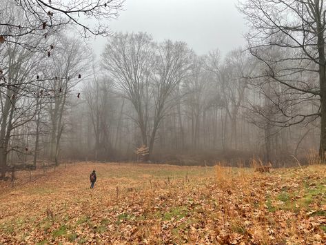 trip to upstate new york Rural New York, Northeastern Gothic, Homesick Aesthetic, Upstate New York Aesthetic, Upstate New York Winter, New York Upstate, Earth Ship, New York Winter, Long Way Home