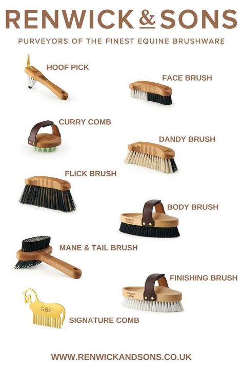 Horse Brushes, Horse Information, Horse Care Tips, Horse Facts, Horse Info, Horse Riding Tips, Horse Equipment, Horse Grooming, Horse Tips