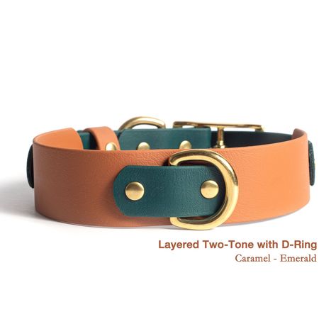 BioThane® Layered Two Tone Buckle Collar - 1 & 1.5 - MD - 14 - 18 / Yes Biothane Color Combos, Best Dog Collars, Leather Dog Accessories, Cool Dog Collars, Female Dog Collars, Unique Dog Collars, Buckle Collar, Velvet Dog Collar, Diy Dog Collar